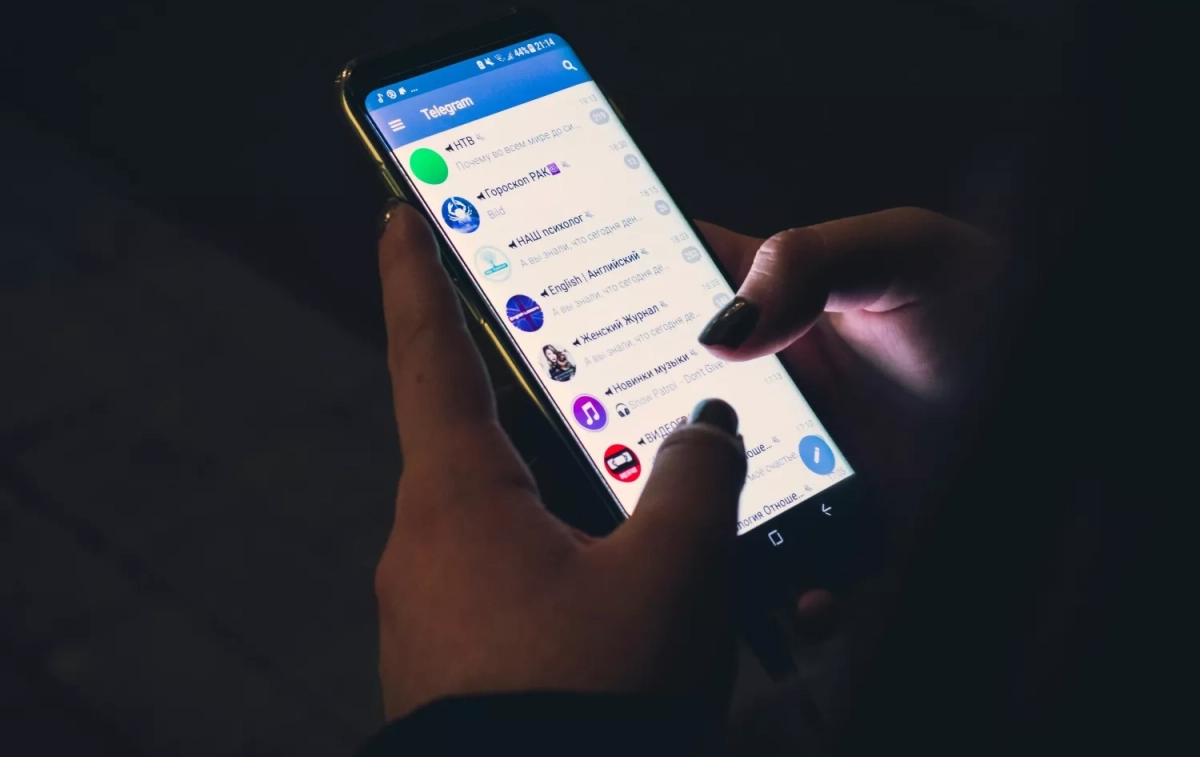 Un chat de Telegram / UNSPLASH Un chat de Telegram / UNSPLASH
