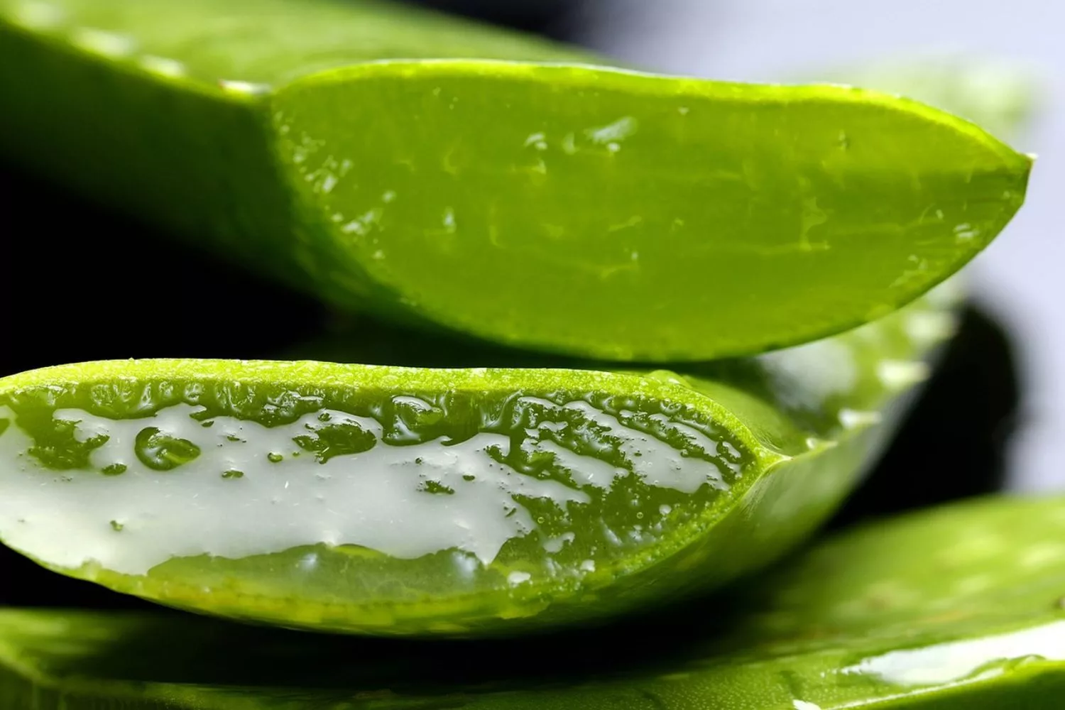 Una hoja de aloe vera con gel / PIXABAY Una hoja de aloe vera con gel / PIXABAY