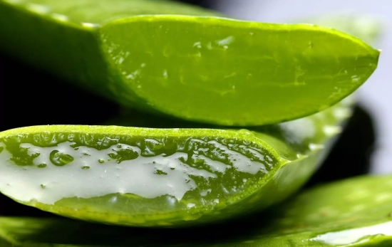 Una hoja de aloe vera con gel / PIXABAY Una hoja de aloe vera con gel / PIXABAY