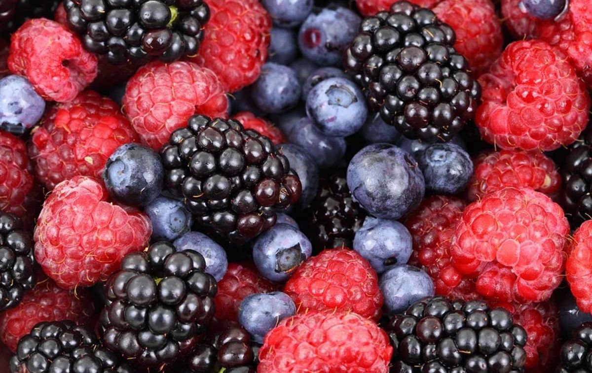 Arándanos, frambuesas y moras / PIXABAY Arándanos, frambuesas y moras / PIXABAY