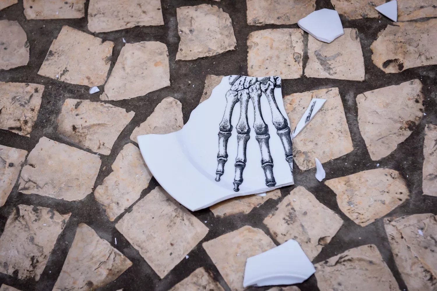 Plato roto por la osteoporosis, una enfermedad que debilita la salud ósea / EP