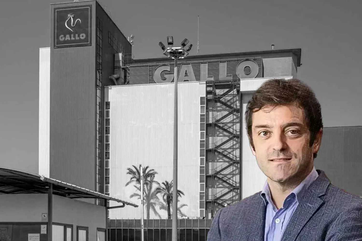 Néstor Nava, el nuevo director financiero de Grupo Gallo CONSUMIDOR GLOBAL