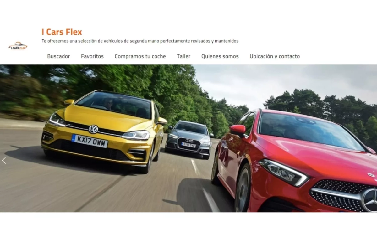 Aspecto de la web de I Cars Flex / CG