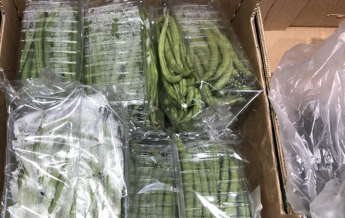 Las judías plastificadas de Marruecos a la venta en Lidl / TC Las judías plastificadas de Marruecos a la venta en Lidl / TC
