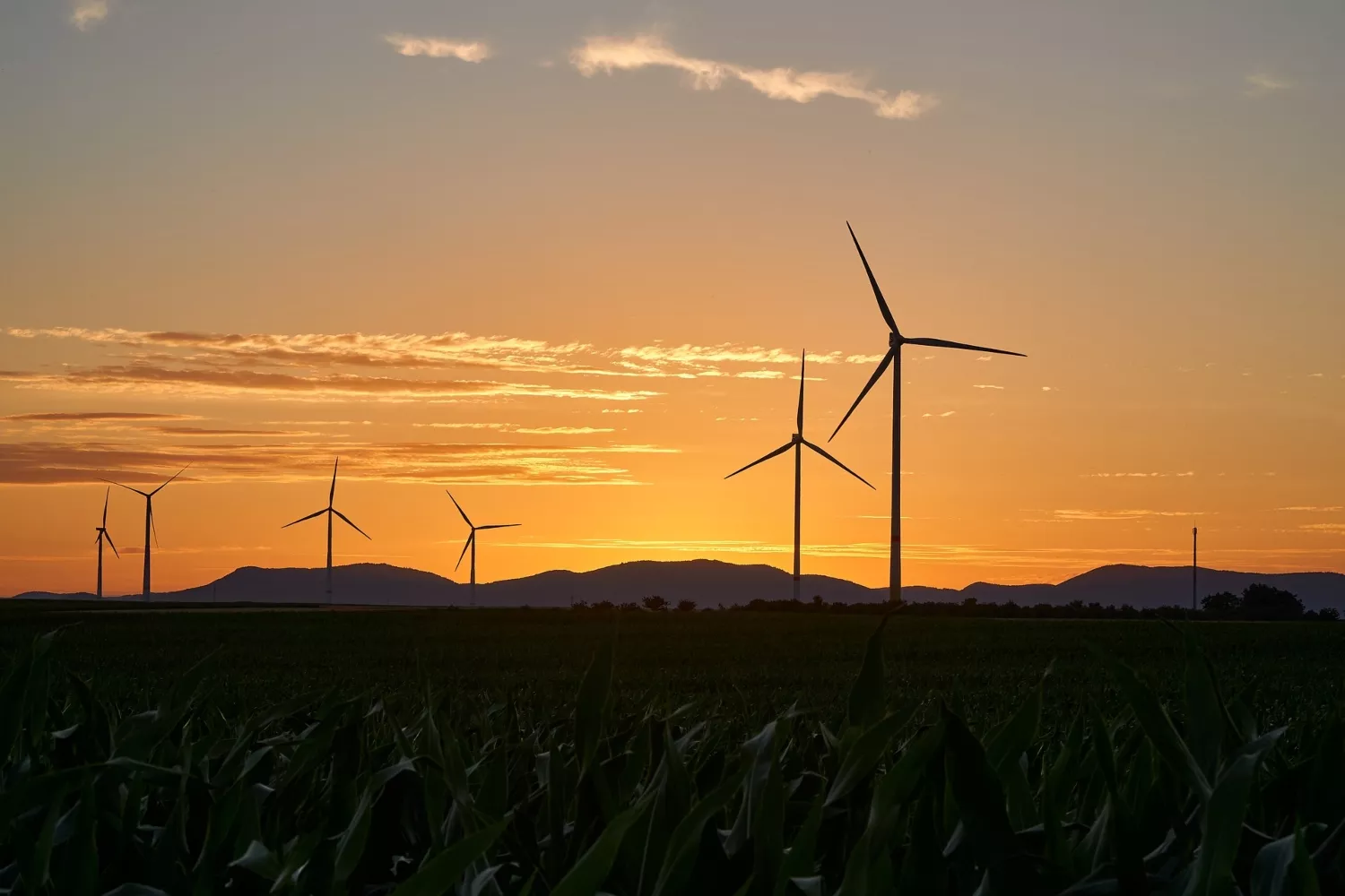 Molinos que dan energía y que intervienen en el precio de la luz   PIXABAY