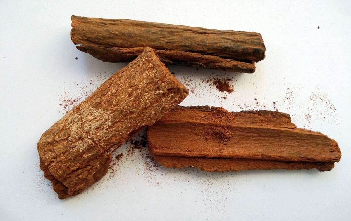 La corteza de quina es uno de los ingredientes principales de la ronquina / PIXABAY