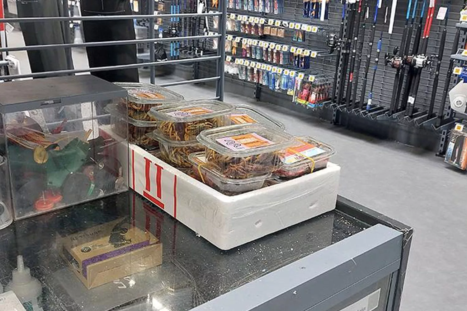Caixas de plástico com caranguejos vivos na Decathlon / FAADA