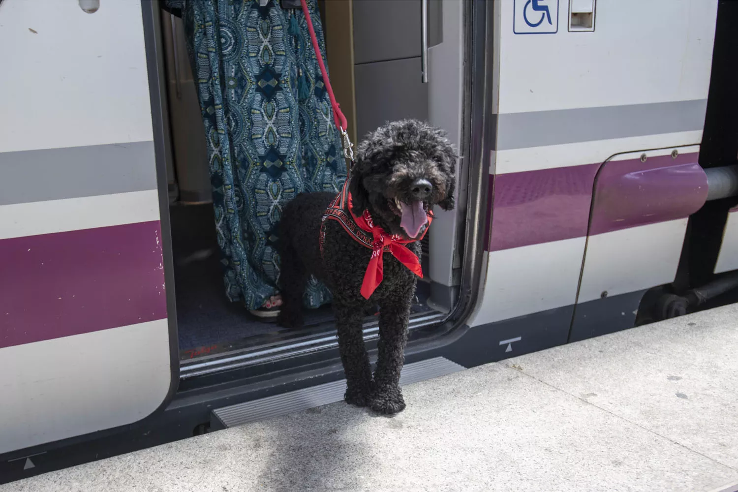 Un perro sale de uno de los trenes AVE de Renfe que permiten viajar con mascota RENFE