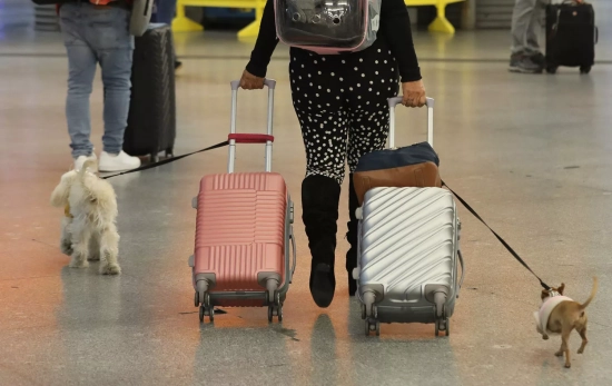 Una persona se dispone a viajar con sus perros en uno de los trenes AVE de Renfe que lo permiten / MARTA FERNÁNDEZ - EP Una persona se dispone a viajar con sus perros en uno de los trenes AVE de Renfe que lo permiten / MARTA FERNÁNDEZ - EP