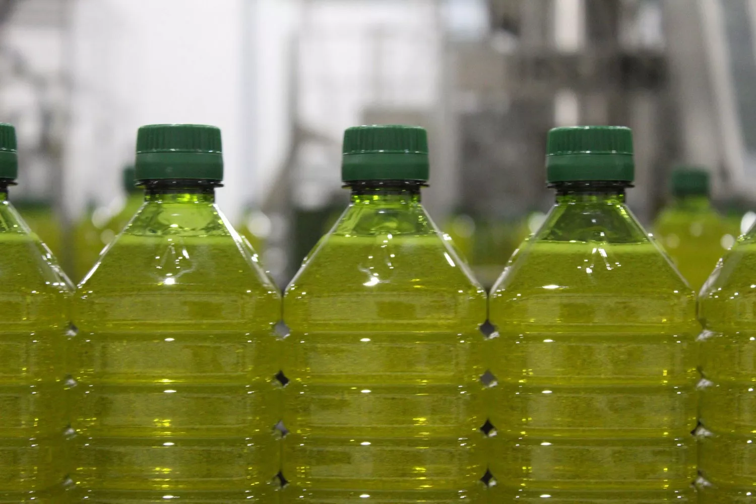 Botellas de aceite de oliva COOPERATIVAS AGROALIMENTARIAS DE ANDALUCÍA