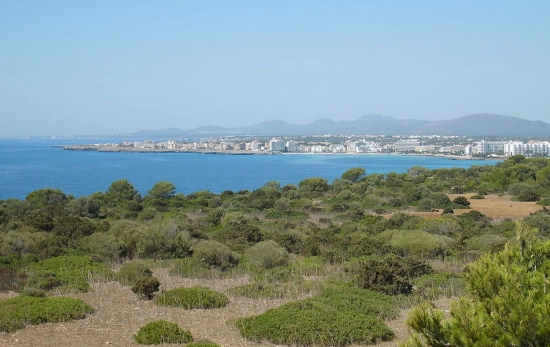 Vista de la zona costera del pueblo Sant Llorenç des Cardassar en Mallorca / WIKIPEDIA Vista de la zona costera del pueblo Sant Llorenç des Cardassar en Mallorca / WIKIPEDIA