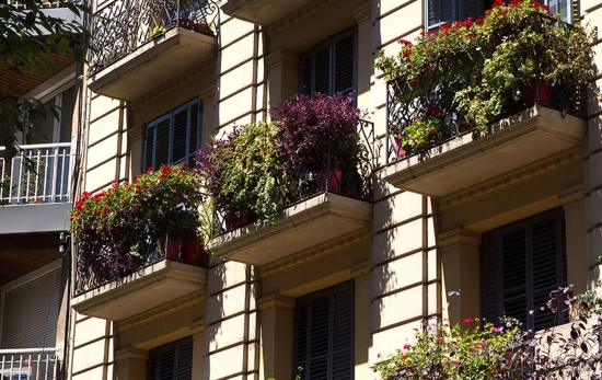 Balcones con plantas que reducen la temperatura ambiente / AYUNTAMIENTO DE BARCELONA Balcones con plantas que reducen la temperatura ambiente / AYUNTAMIENTO DE BARCELONA
