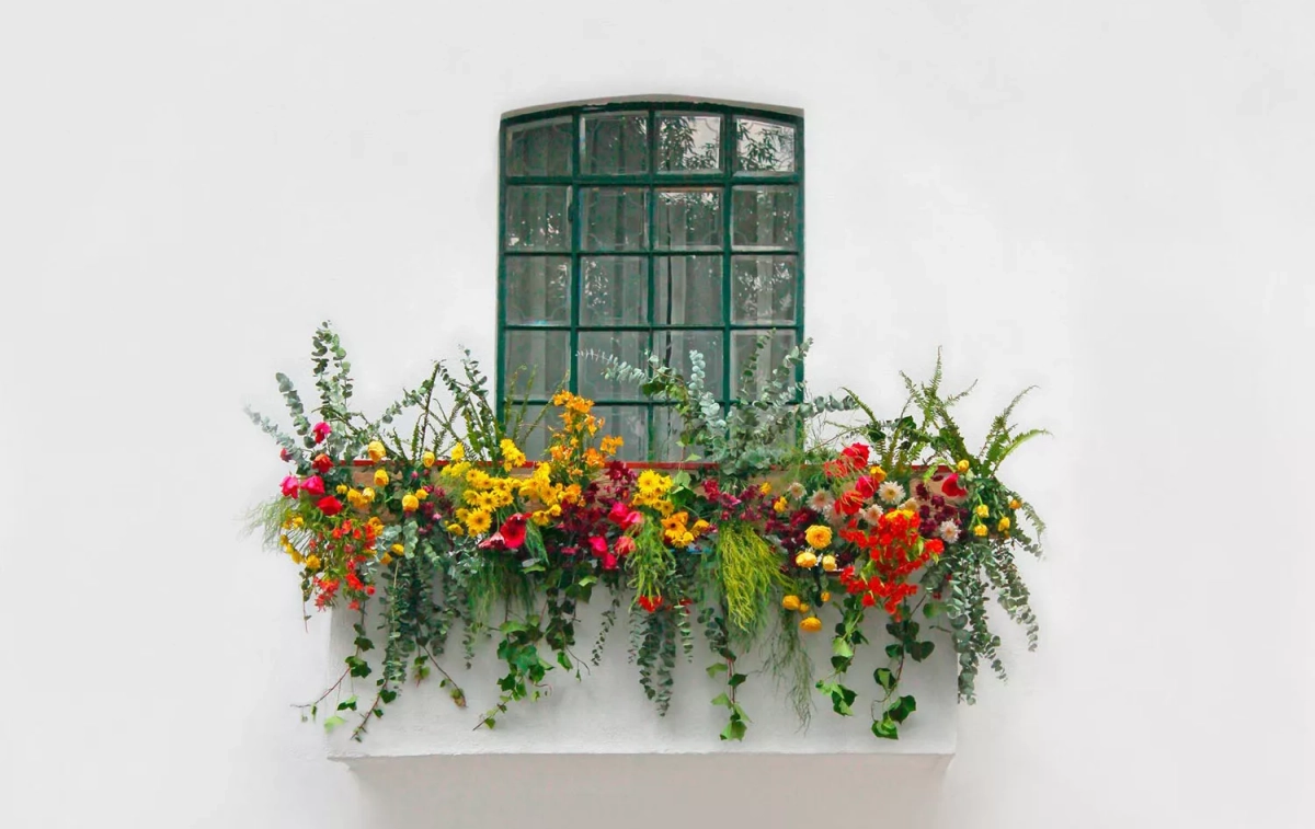 Un balcón repleto de plantas / PEXELS Un balcón repleto de plantas / PEXELS