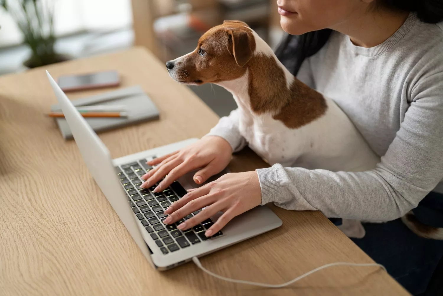 Un perro observa el ordenador de su dueña / FREEPIK Un perro observa el ordenador de su dueña / FREEPIK