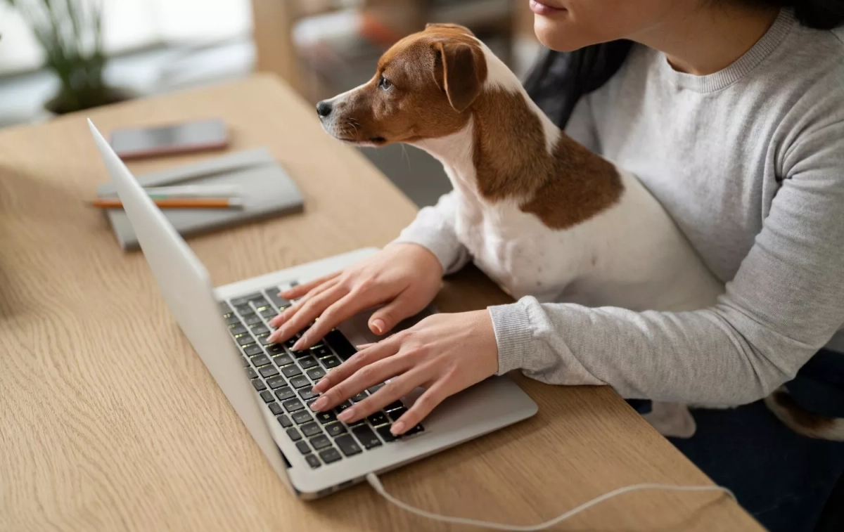 Un perro observa el ordenador de su dueña / FREEPIK Un perro observa el ordenador de su dueña / FREEPIK