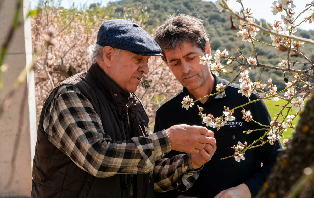 Miquel y Ferran Alemany, padre e hijo, cuarta y quinta generación de la empresa Torrons i Mels Alemany / CEDIDA Miquel y Ferran Alemany, padre e hijo, cuarta y quinta generación de la empresa Torrons i Mels Alemany / CEDIDA