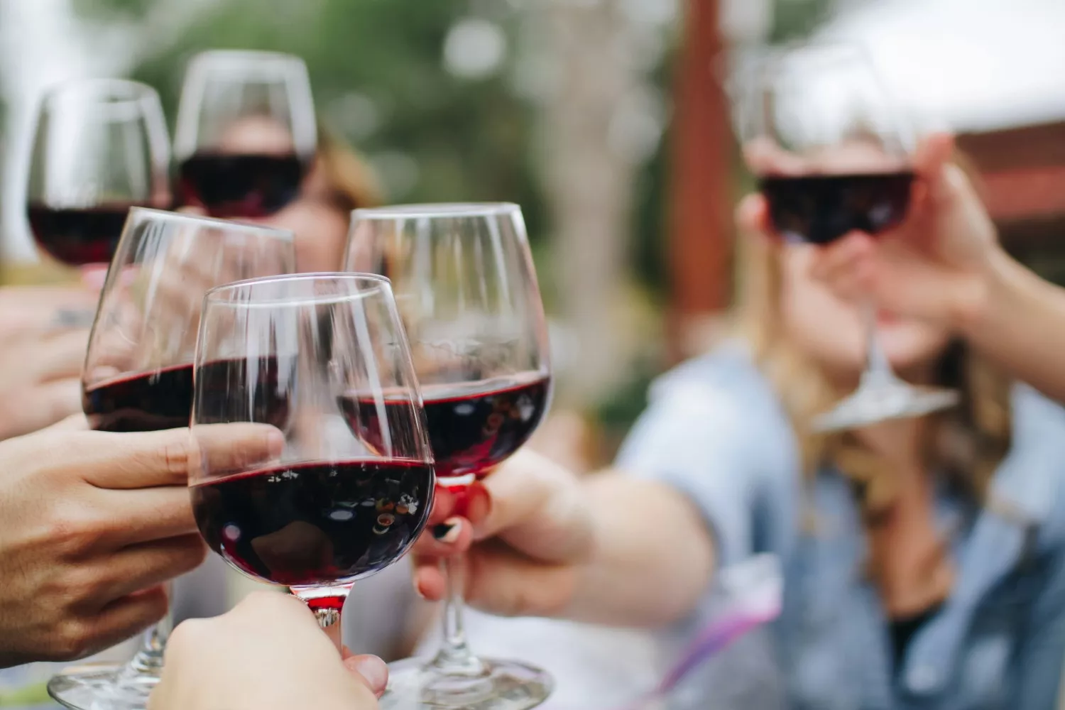 brindis co vinos