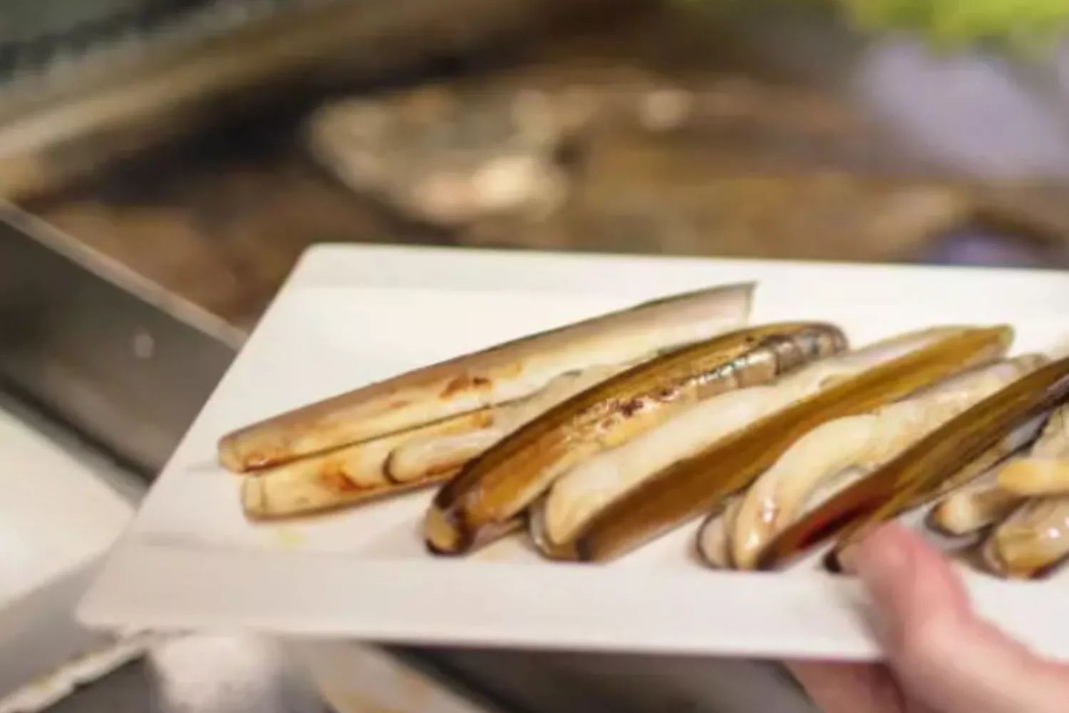 Plato de navajas, alto en proteínas y sin mercurio Plato de navajas, alto en proteínas y sin mercurio