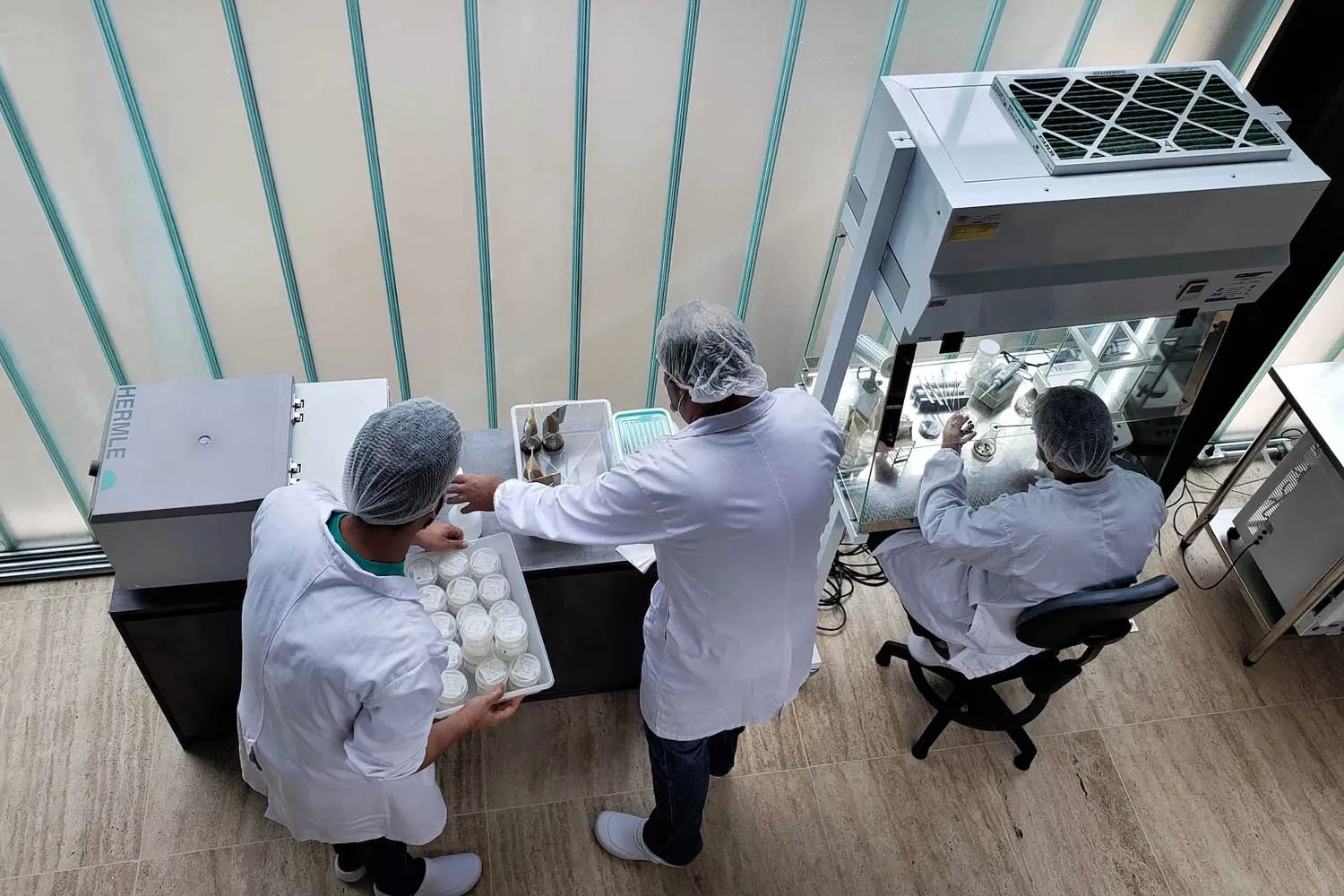 El laboratorio de Galy, la empresa en la que invierten Bill Gates y Amancio Ortega / GALY