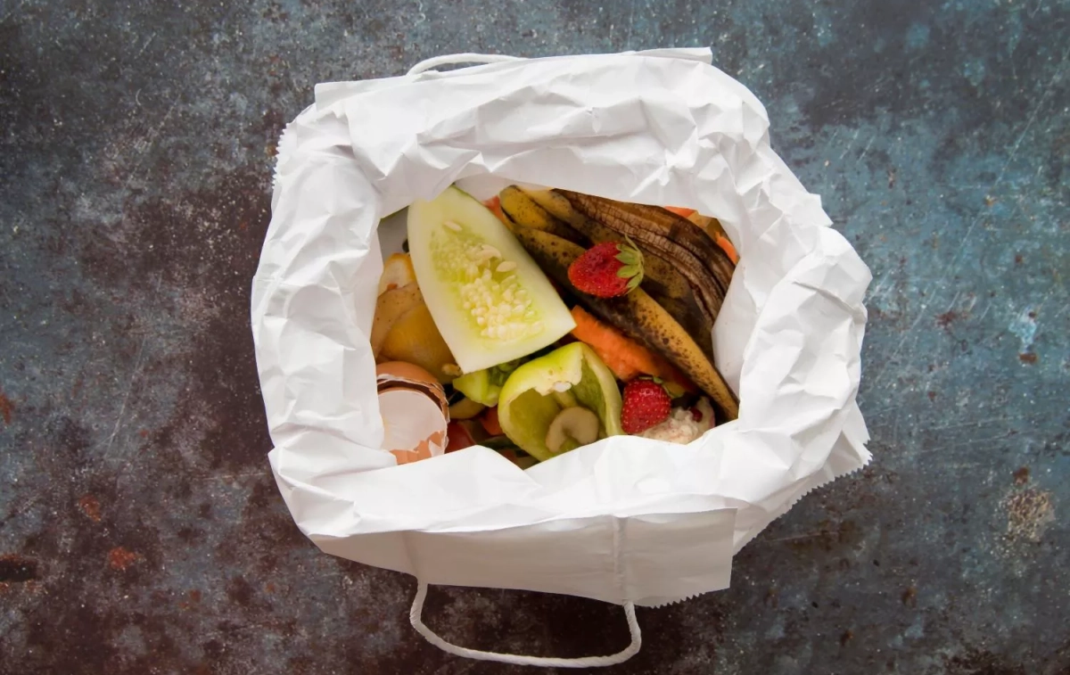 Alimentos en la basura / FREEPIK Alimentos en la basura / FREEPIK