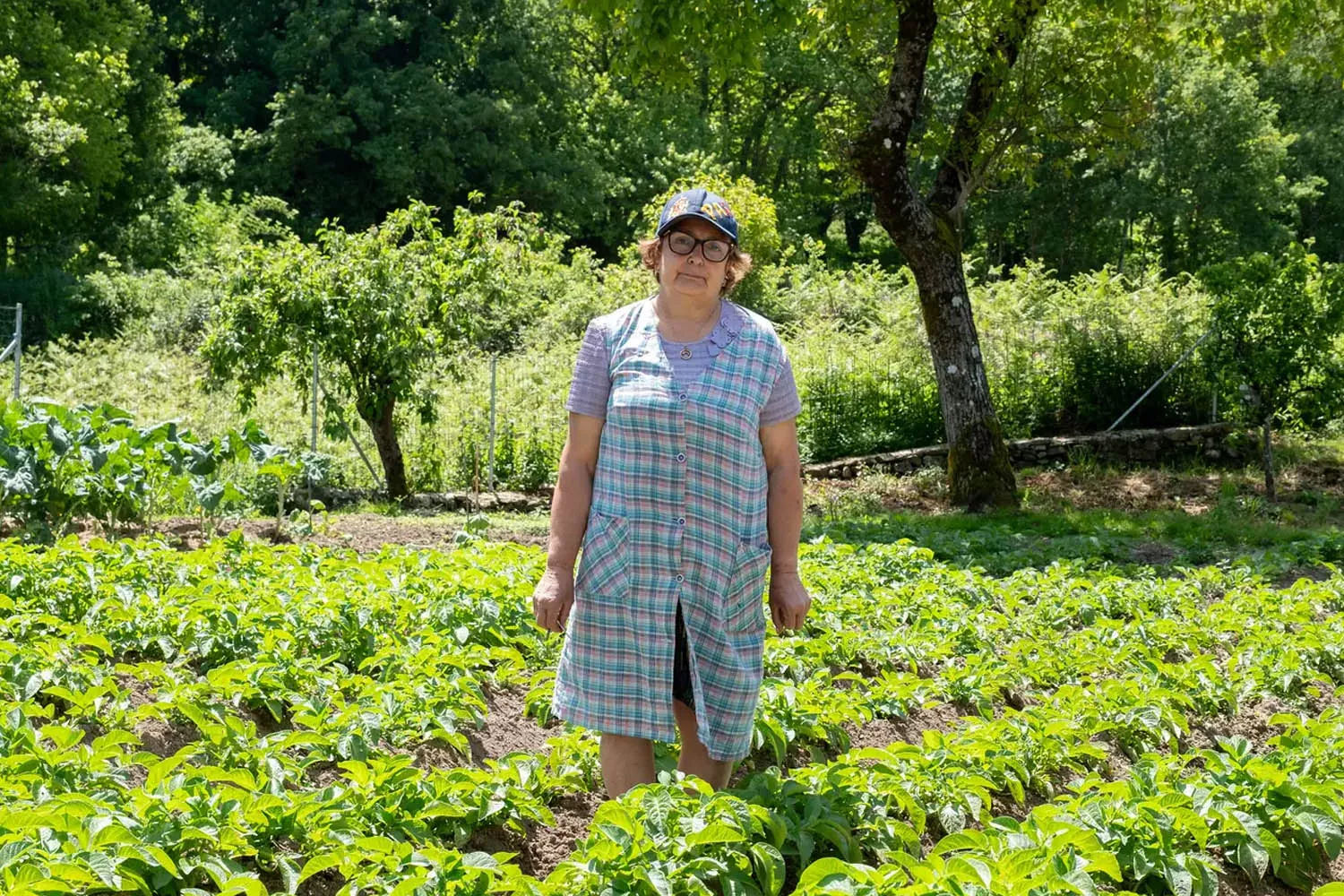 Carmen Vázquez, agricultora de Ulloa que vê o ecossistema galego ameaçado pela macrocelulose Altri / GREENPEACE - PEDRO ARMESTRE