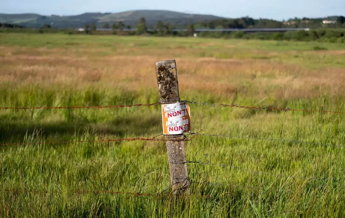 Una señal en contra de la fábrica de Altri en el campo gallego / GREENPEACE Una señal en contra de la fábrica de Altri en el campo gallego / GREENPEACE