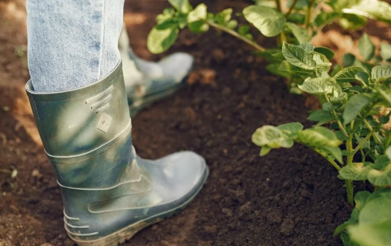 Una persona con botas de agua en su jardín/ PEXELS Una persona con botas de agua en su jardín/ PEXELS