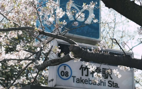 Una calle de Japón / PEXELS Una calle de Japón / PEXELS