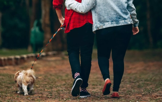 Una pareja paseando con su perro /PEXELS Una pareja paseando con su perro /PEXELS