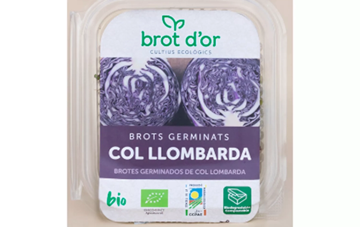 Brotes de col lombarda afectados / AESAN Brotes de col lombarda afectados / AESAN