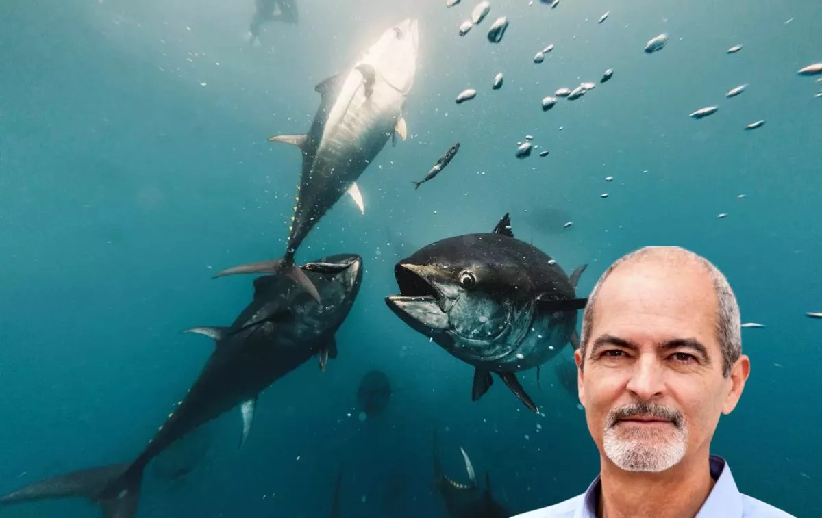 O diretor da Apromar, Javier Ojeda, e um cardume de atum / AECOC