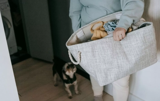 fastidio secar la ropa dentro de casa por lo incómodo de tener el tendedor en medio de nuestras estancias/ PEXELS fastidio secar la ropa dentro de casa por lo incómodo de tener el tendedor en medio de nuestras estancias/ PEXELS