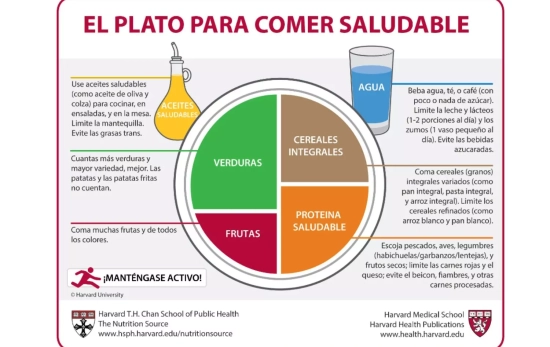 Una dieta basada en el plato de Harvard/ Nutritionsource.hsph.harvard.edu Una dieta basada en el plato de Harvard/ Nutritionsource.hsph.harvard.edu