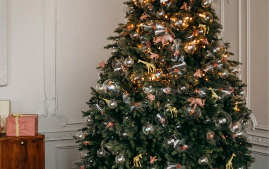 El árbol de Navidad, el gran protagonista de estas fechas/ PEXELS El árbol de Navidad, el gran protagonista de estas fechas/ PEXELS