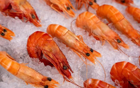 La gamba, el langostino y otros productos del mar continúan siendo los reyes indiscutibles de las mesas navideñas en España/pexels La gamba, el langostino y otros productos del mar continúan siendo los reyes indiscutibles de las mesas navideñas en España/pexels