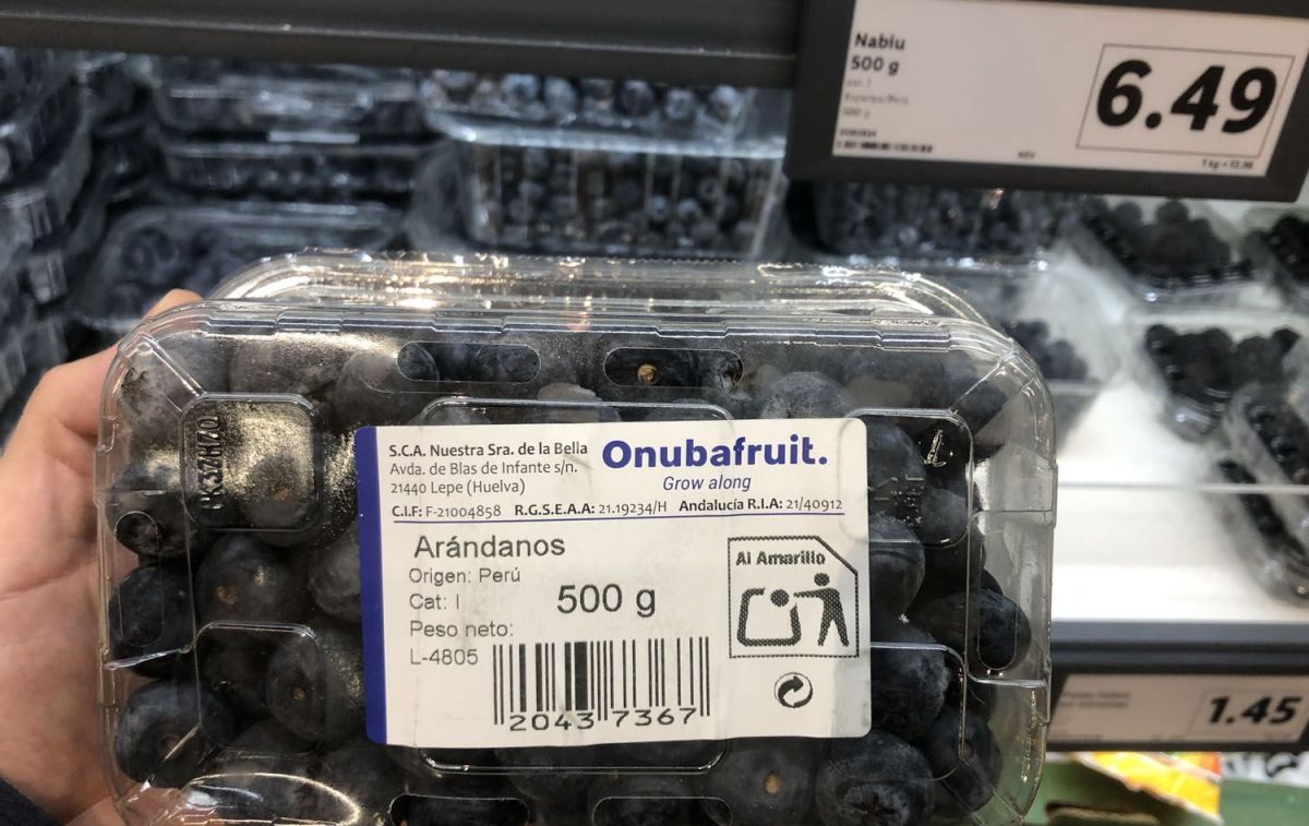 Los arándanos de Perú que Lidl envasa en Huelva / TC Los arándanos de Perú que Lidl envasa en Huelva / TC