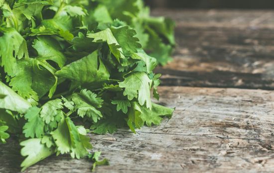 Para congelar hierbas frescas has de congelarlas en agua o con aceite de oliva/ PEXELS Para congelar hierbas frescas has de congelarlas en agua o con aceite de oliva/ PEXELS