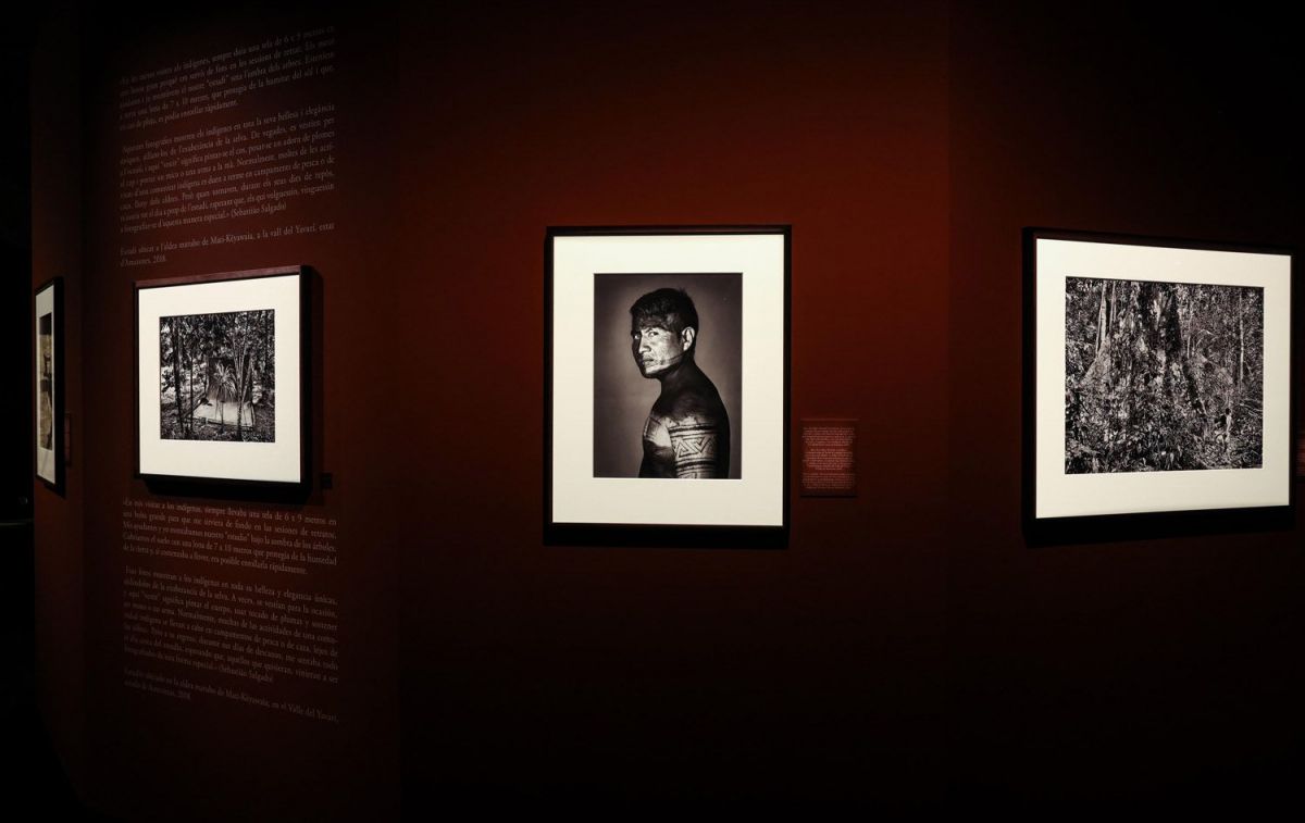 Fotografías y textos de 'Amazônia' / ÁNGEL GARCÍA Fotografías y textos de 'Amazônia' / ÁNGEL GARCÍA