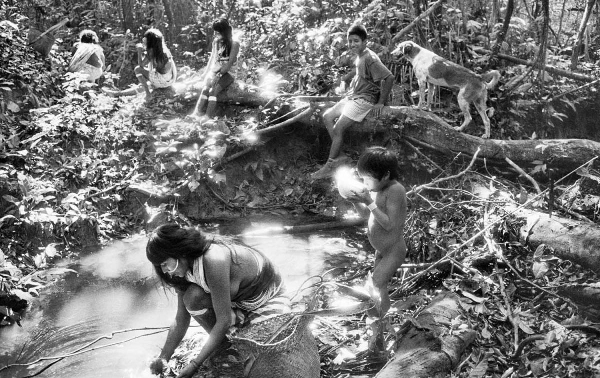 Un grupo indígena en el río / SEBASTIÂO SALGADO Un grupo indígena en el río / SEBASTIÂO SALGADO