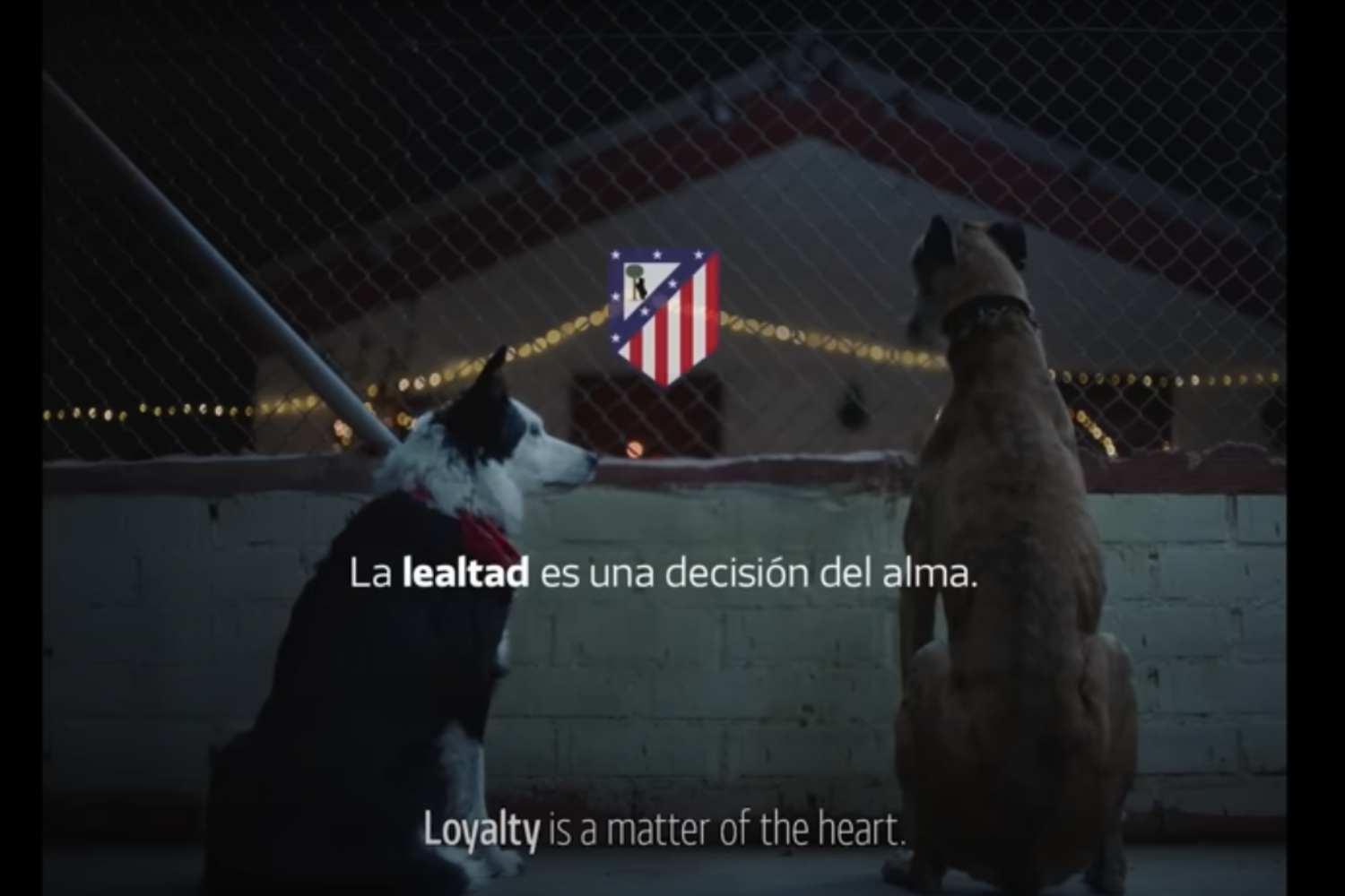 Anuncio del Atlético de Madrid sobre los refugios de animales / YOUTUBE