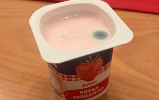 Yogur con moho/ CEDIDA Yogur con moho/ CEDIDA