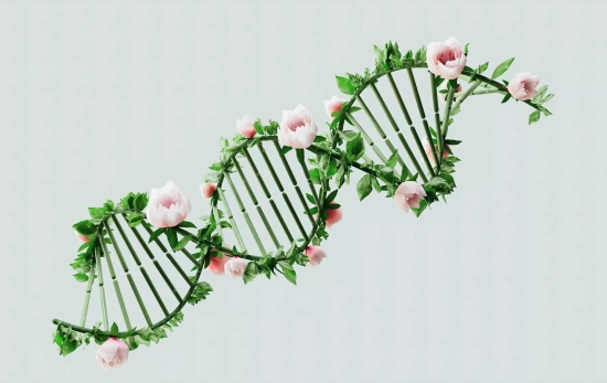 La biotecnología pretende dar solución al problema del paso de los años/ PEXELS La biotecnología pretende dar solución al problema del paso de los años/ PEXELS