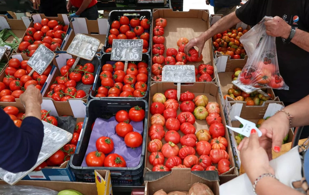 Cajas de tomates en un mercado / EUROPA PRESS - MARTA FERNÁNDEZ Cajas de tomates en un mercado / EUROPA PRESS - MARTA FERNÁNDEZ