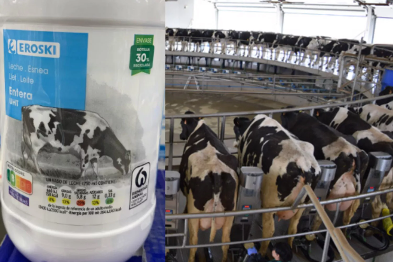 Uma garrafa de leite gordo da Eroski e uma fábrica de lacticínios industrial em Navarra / ARDE