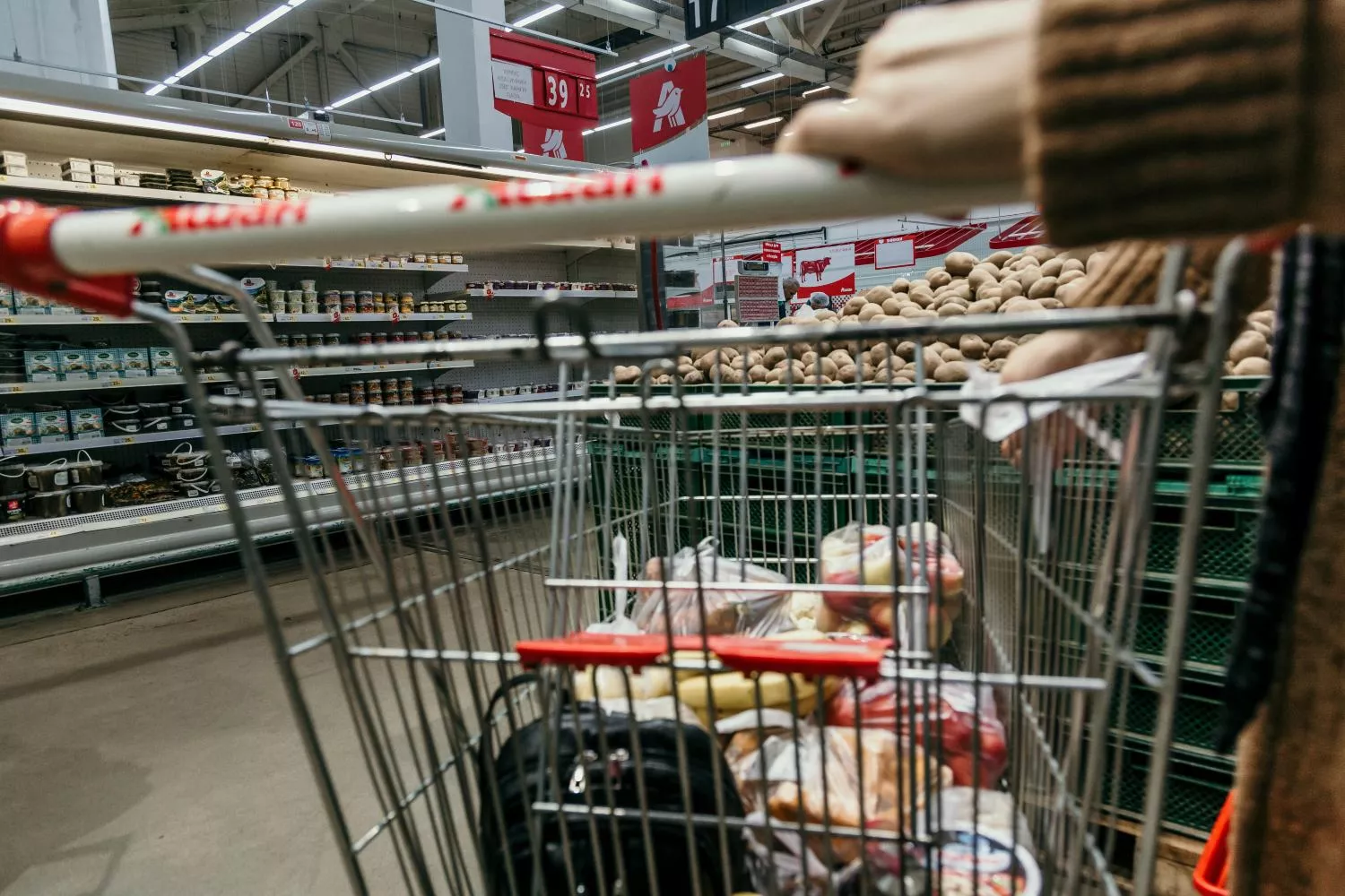 consumidora cesta de la compra