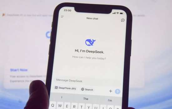 La app de DeepSeek Vuk Valcic EP La app de DeepSeek Vuk Valcic EP