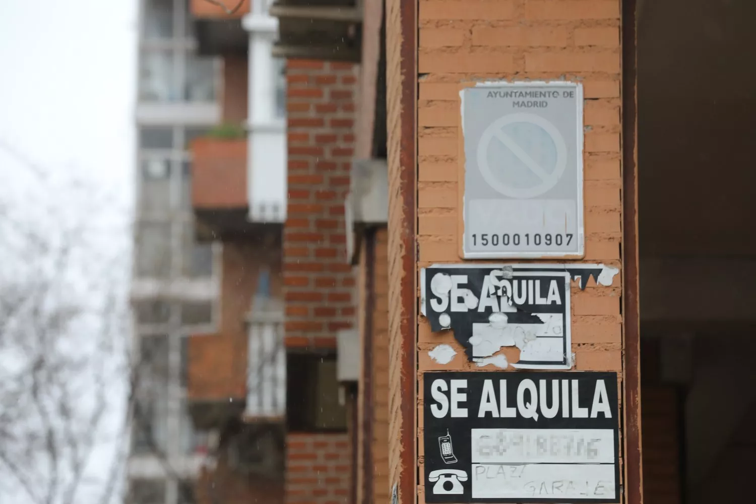 Varios carteles de alquileres / Marta Fernández - EP