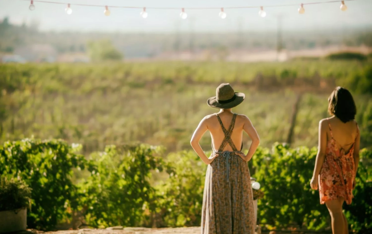 Dos mujeres en un viñedo / UNSPLASH Dos mujeres en un viñedo / UNSPLASH