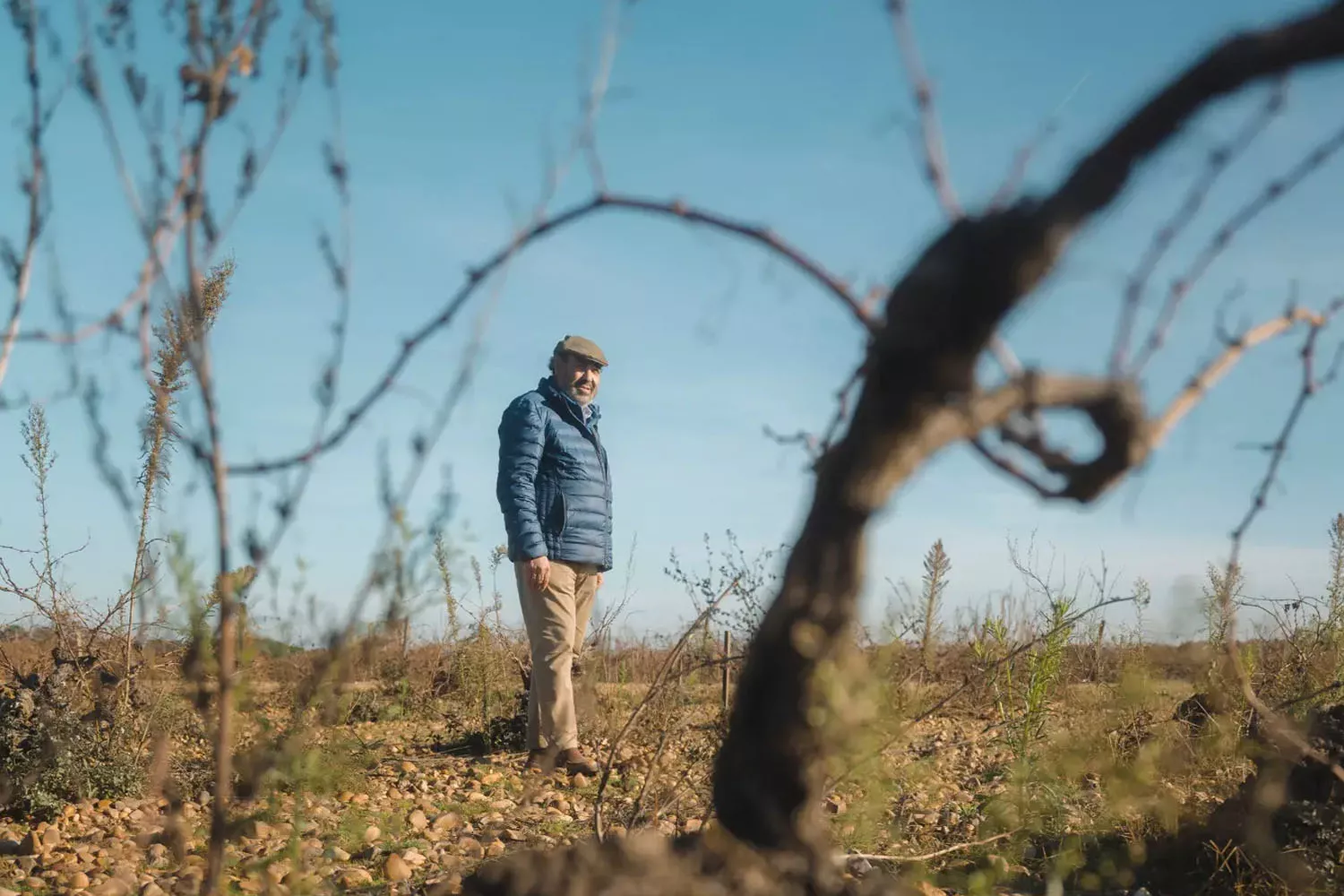 El viticultor Javier Sanz en sus viñedos de La Seca JSV