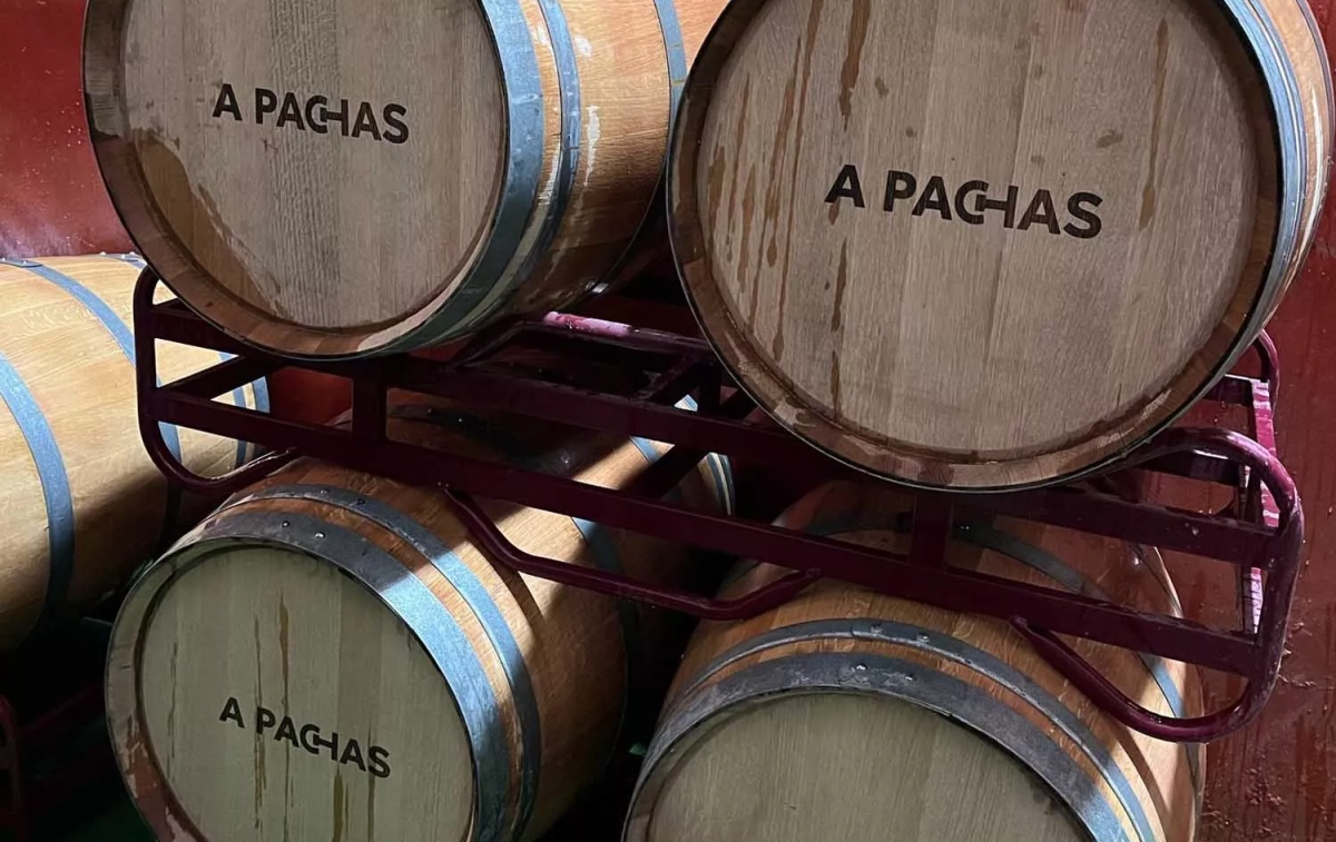 Algunas barricas de vino A Pachas / CEDIDA Algunas barricas de vino A Pachas / CEDIDA